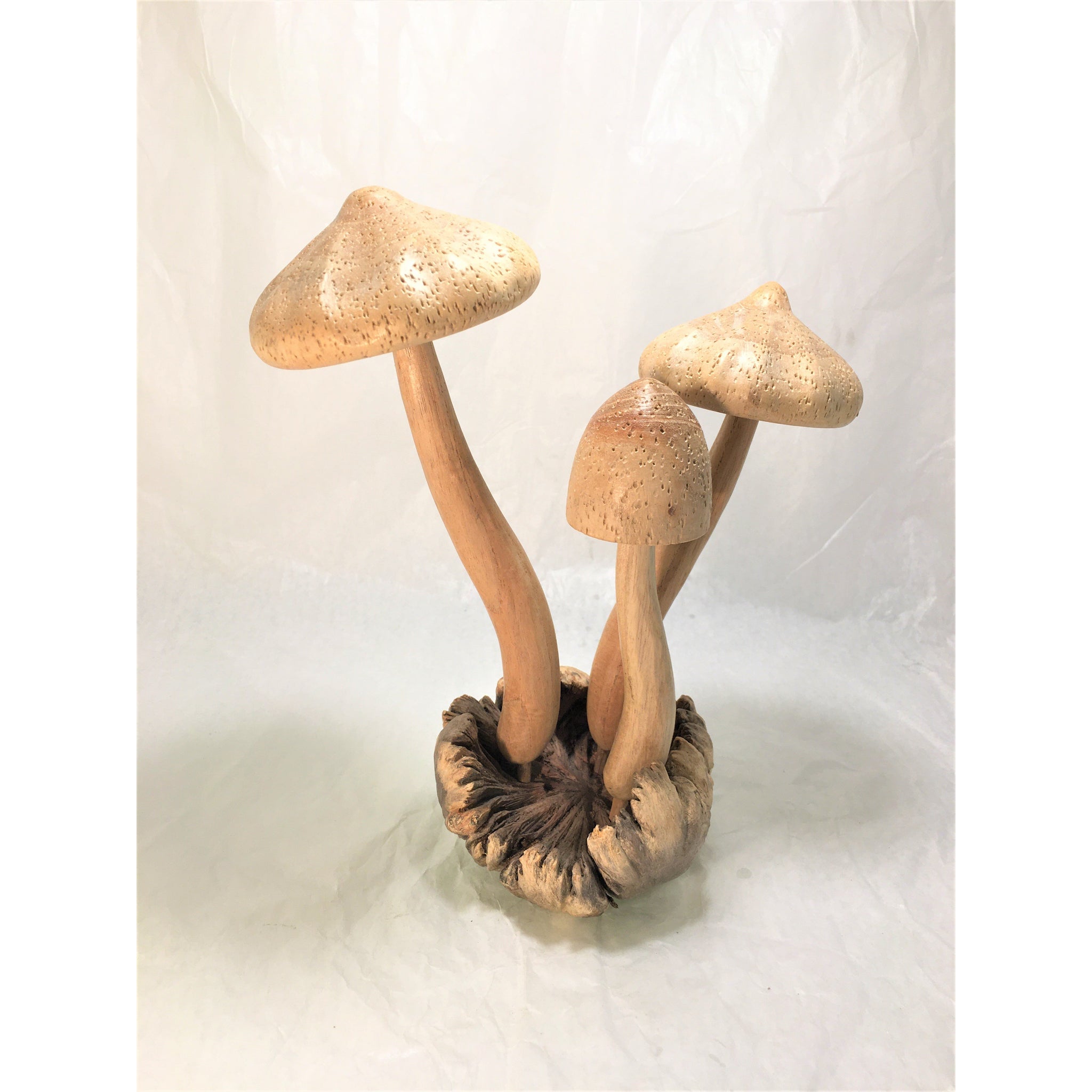 Hand carved wooden mushroom/L