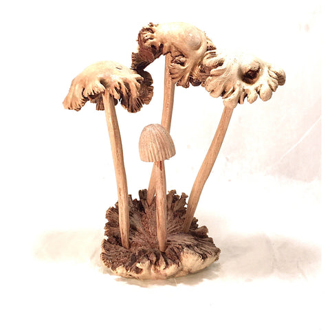 Hand carved wooden mushroom